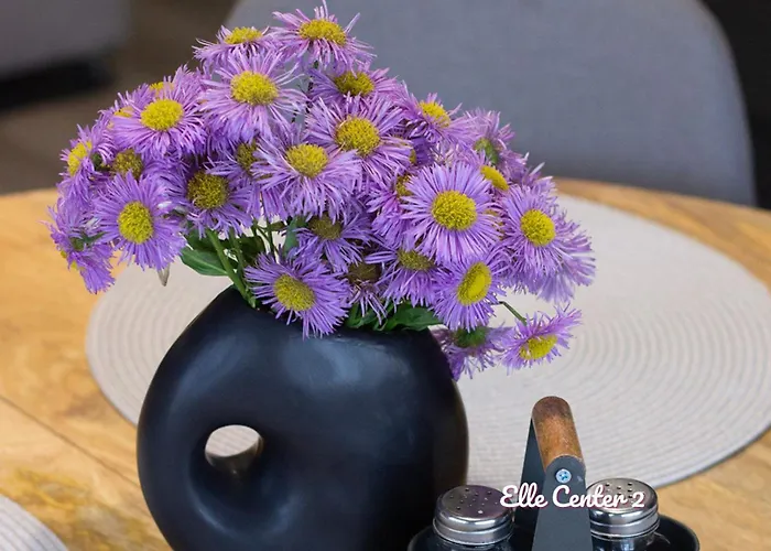 Elle Center By Rv - Center * Varna