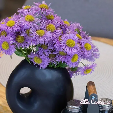 Elle Center By Rv - Center * ヴァルナ